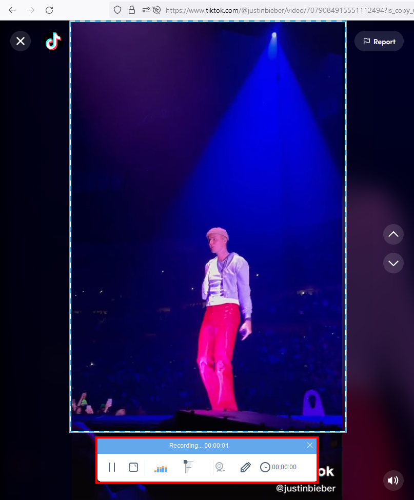 tiktok video downloader alternative, begin recording