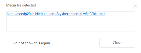 bitchute downloader, media file detected