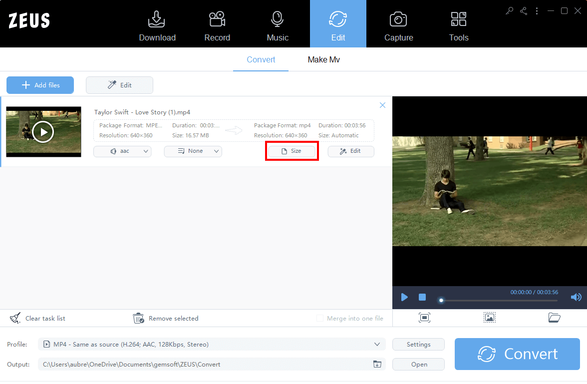 perform video conversion, clicking size tab