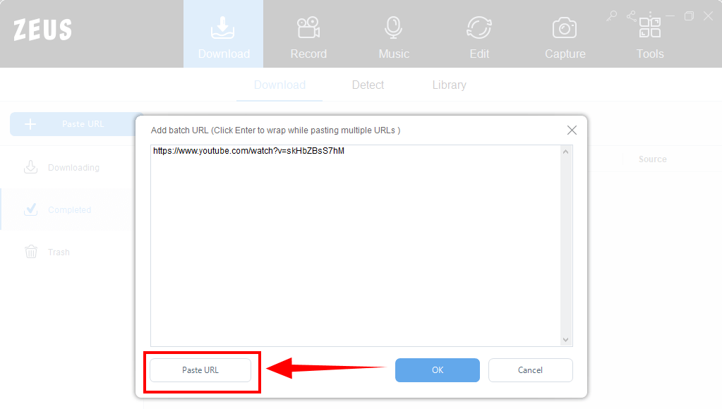 download multiple video, download video using ZEUS, pasting music's url